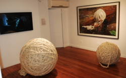 Trama en América y las artistas tejedoras del Norte argentino | Data de arte