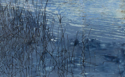 Hernán Salamanco. Ojo de agua | Arte Online