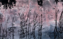 Herlitzka & Co. inaugura “Ojo de agua” y “Plumarios”: dos miradas sobre la materia, la memoria y el territorio | Zafira Ma