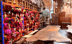 H&Co. visita MONTE