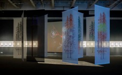 Obras de Elda Cerrato representan a la Argentina en la Bienal de Shangai | Télam: La Opinión Austral